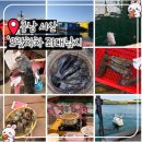 [충남 서산] 으랏차차 좌대낚시 ㅣ 서산낚시 초보도 성공, 우럭 6마리 잡고 즉석회까지 즐긴 좌대낚시 후기