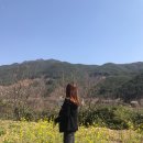 가빈농장 이미지