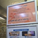 비체노래연습장 이미지