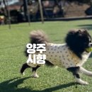 양주식당 이미지