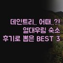 열대의꿈 | 데인트리 숙소 비교 | 열대우림 속 낭만적인 하룻밤 | 솔직한 후기로 고른 3곳 | 여행자들이 뽑은 최고...