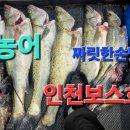 인천 농어낚시 이미지