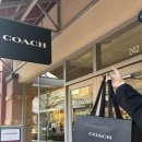 위드클리닝 | [COACH] 코치 태비 숄더백 26 위드 필로우 퀄팅 솔직후기 (남친돈산🫶)
