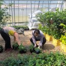 통영시 농업기술센터 이미지