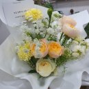 솔앤꽃 | 대구당일꽃배달 가능한 대구 수성구 꽃집 솔앤꽃 방문 후기