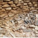 충북수지 이미지