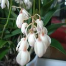 우리화원 이미지