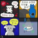 준카