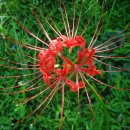 소요산 장어구이 이미지