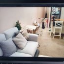 세이브독 이미지