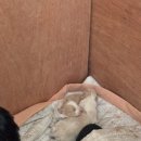 광표농장 이미지