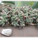 파랑새농장 이미지