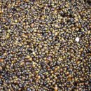 하동재첩국 전문 이미지