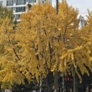 지에스(GS)25 진천보건소점 | 251121 3주 간의 백수 탈출기 | 단기 공공근로, 대구 진천역 혼밥 리스트