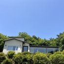 스테이 안 이미지