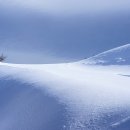 매봉산1 이미지