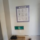 더스테이 골드독 이미지