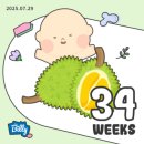 코코픽셀 | 34주 35주 임산부 일상 증상 산후도우미예약 임산부파마 맘마존 아기손수건빨래 후기입덧