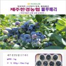 한경농업협동조합복지타운