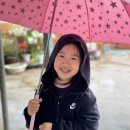 효우의 주말지낸이야기 이미지