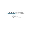 포스트플랜 네이버블로그