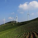 탄광촌식당 이미지