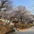 안성비봉산 캠핑장 이미지