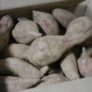 안면도농산 이미지