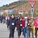 봉화마을길 이미지