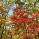 좋은아침 이미지