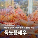 진국매운탕 | 양산횟집추천 독도꽃새우 매운탕진국 아기랑 가기 좋은 횟집