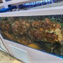 부평공원1 이미지