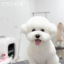 크리스타일