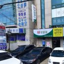 사파동289 이미지