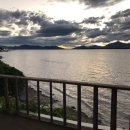 벌떡새우 이미지