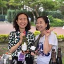 와이&에이치 인터네셔날