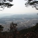 시내바이오 이미지
