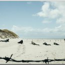 영화랜드 이미지