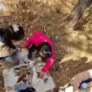 안성자연유치원 이미지