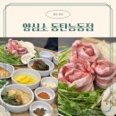 협동숯불 | 동탄 능동 맛집 육즙 팡팡 한돈 미나리 삼겹살 양심소 동탄능동점