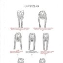 몸의형태 이미지