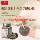 순숙