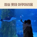 (주)서울오션아쿠아리움 - 2644 | 잠실 롯데 아쿠아리움 주차 꿀팁 예매 할인 플레이오션 먹이주기 체험
