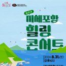 지세포항 새거제신문