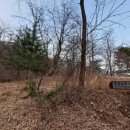 경기도 양평군 대아초등학교 이미지