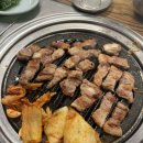 제주돈 도야지 이미지