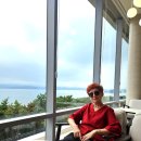 피터펫카페 가덕도점 | 아이랑 부산 가덕도 가볼만한곳 바다뷰 카페 스톤라운지 가족 힐링코스