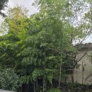 선흘리에 | [제주시 조천읍 선흘리 쌈밥 정식집] 선흘곶 식당, 정갈한 한정식을 맛볼 수 있는 곳