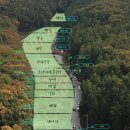 숲속애견랜드 이미지