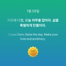 🇹🇭태국 치앙마이 2 :: 스무디 로띠 무삥 파인애플